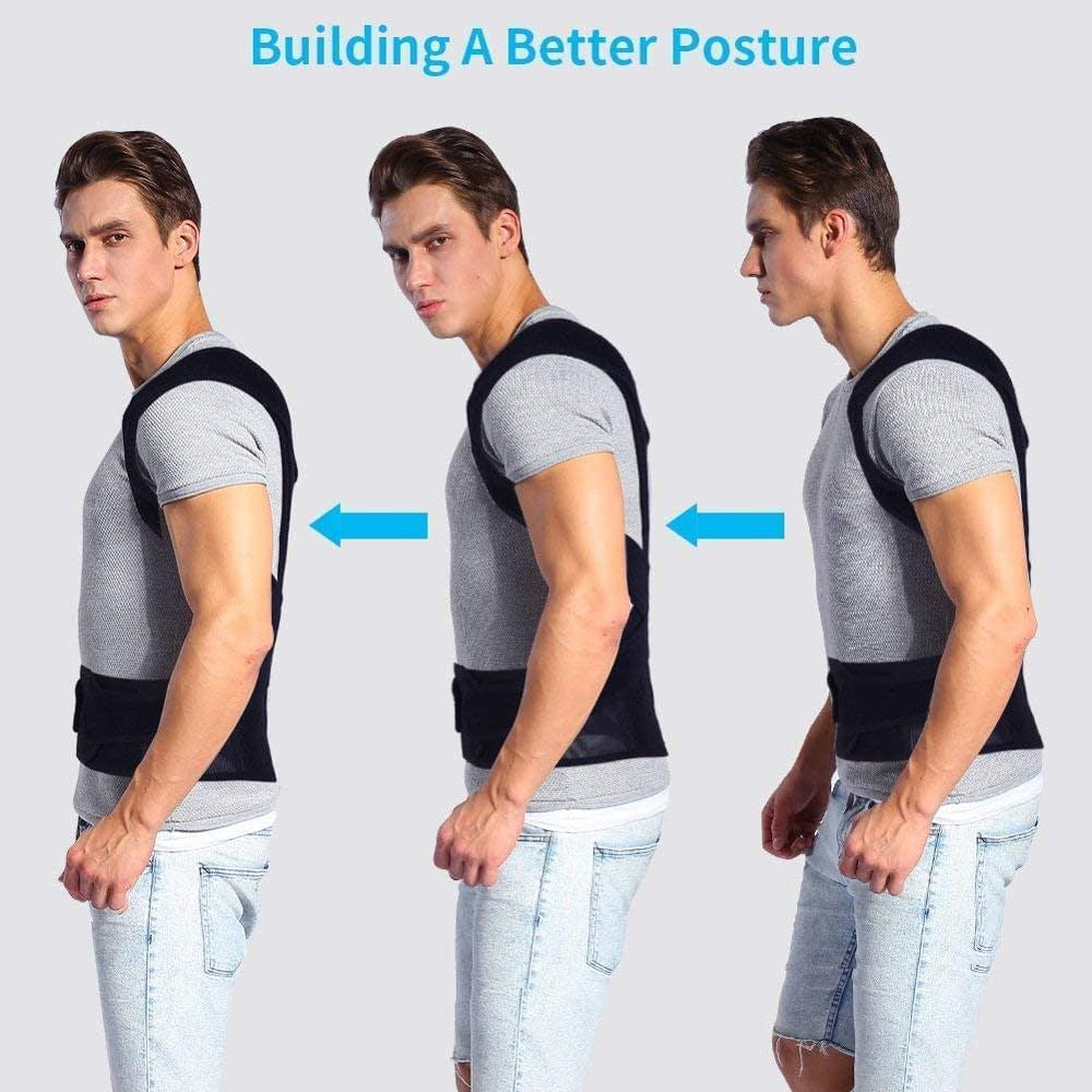 Posture Belt