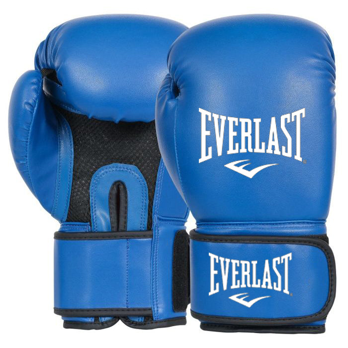 Everlast Boxing Gloves