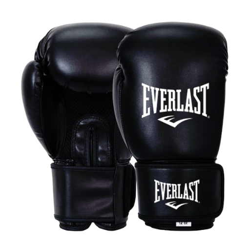 Everlast Boxing Gloves