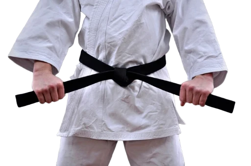 Karate Belt