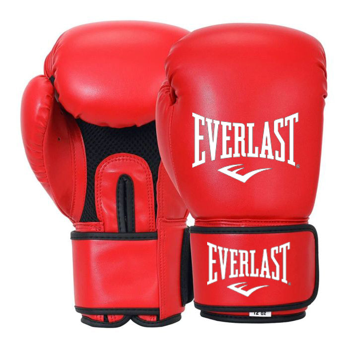 Everlast Boxing Gloves